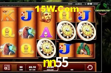 Platform Technology nn55